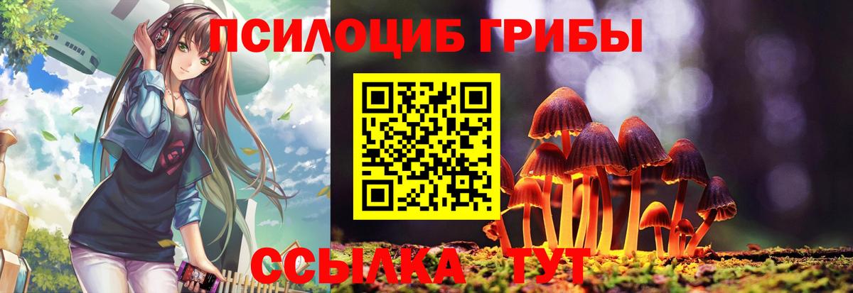 Галлюциногенные грибы Psilocybine cubensis  закладки  Волгодонск  Вход с VPN 